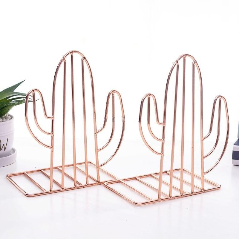 Boekensteun cactus - Afbeelding 3
